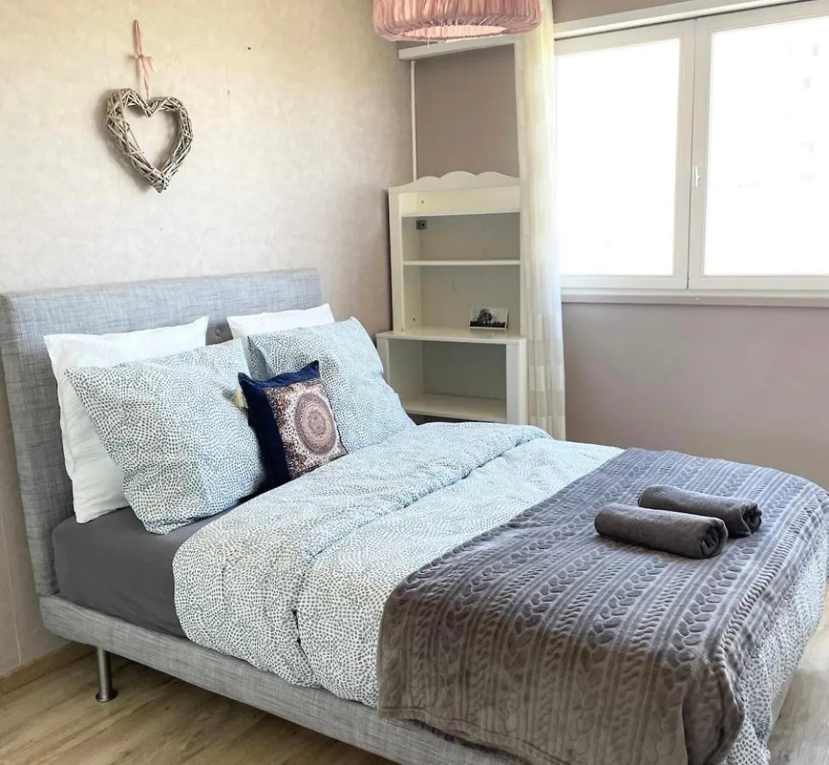 Grand Appartement Lumineux Villeurbanne