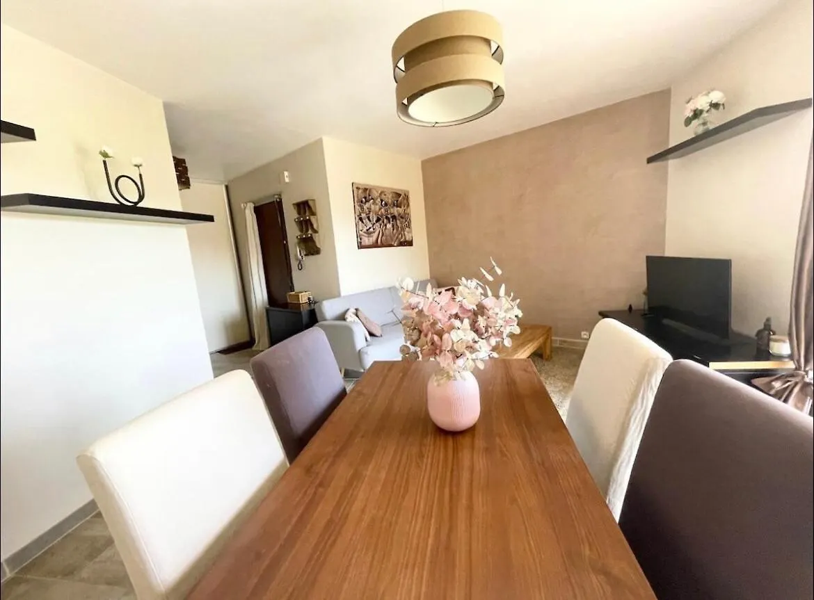 Apartamento Grand Appartement Lumineux Villeurbanne