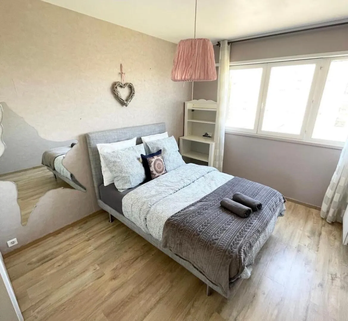 Apartamento Grand Appartement Lumineux Villeurbanne