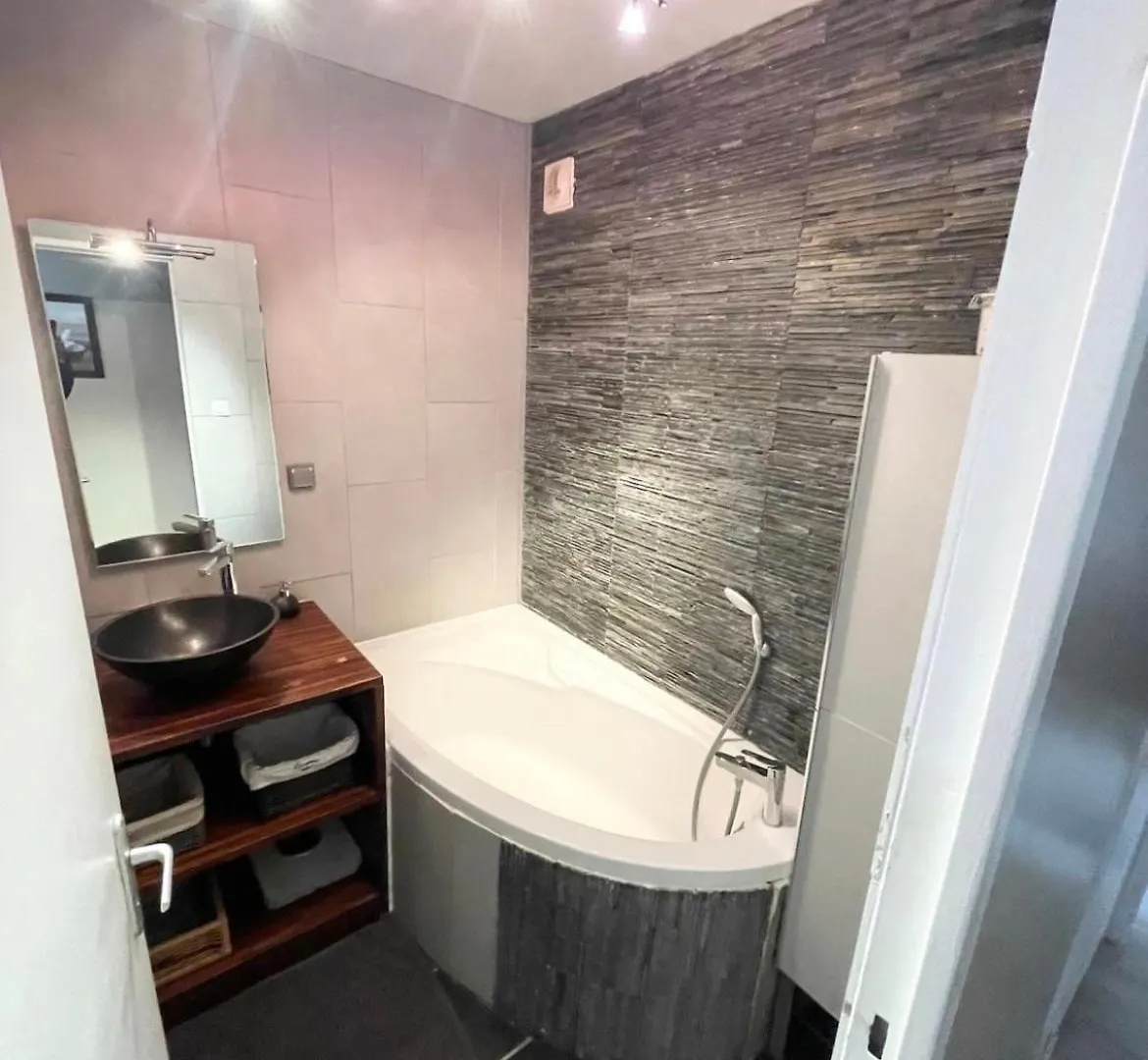 Grand Appartement Lumineux Villeurbanne 0*,