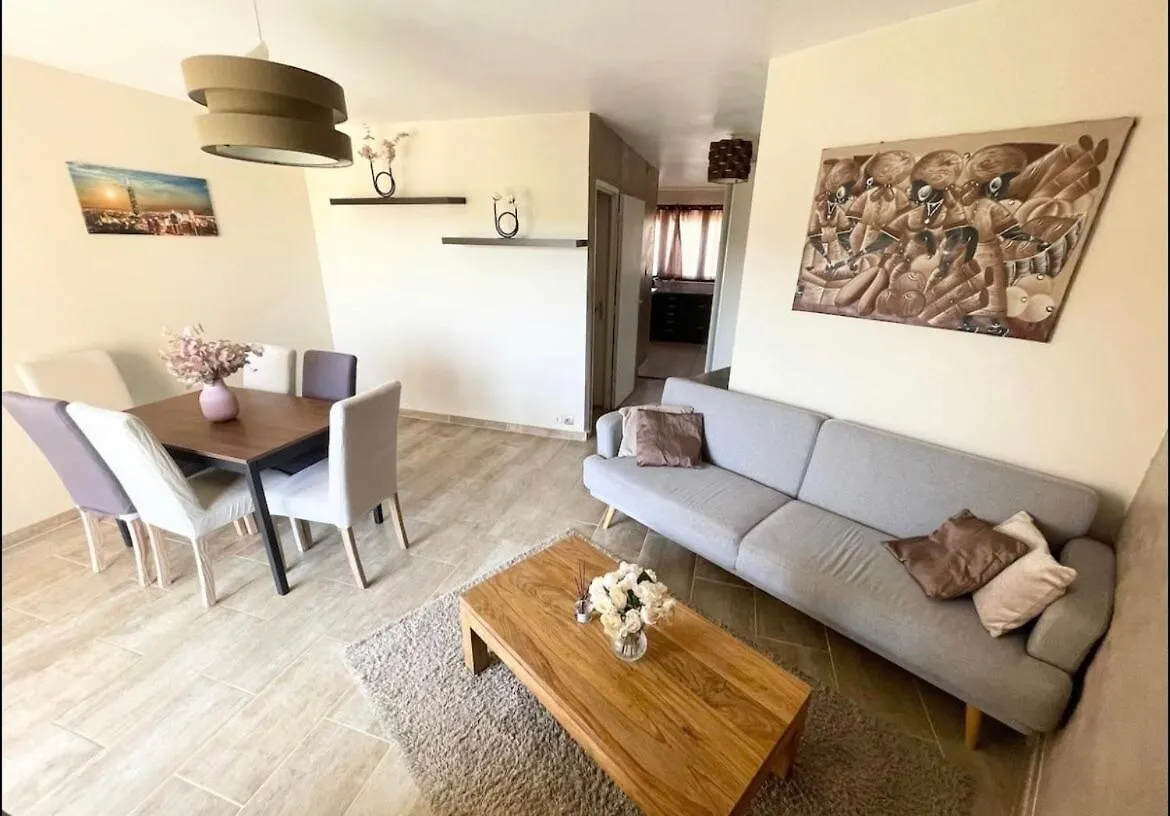 Grand Appartement Lumineux Villeurbanne